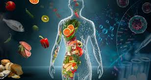 human health nutrition and disease