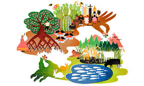 Ecology